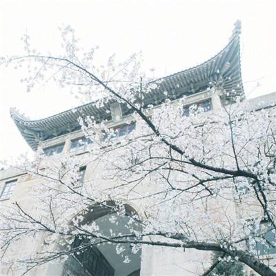 2024杭州大学生生活补贴政策